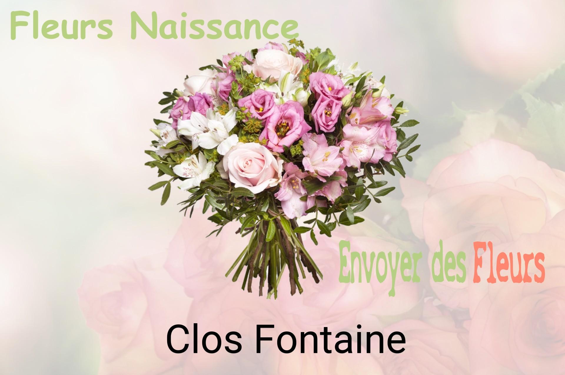 Bouquet de fleurs de naissance livré à Clos-Fontaine